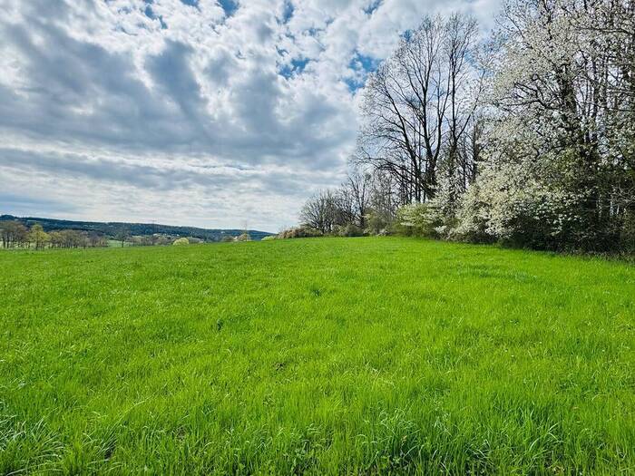 Prodej pozemku pro bydlení 1179 m² — Pořežany, Jihočeský kraj