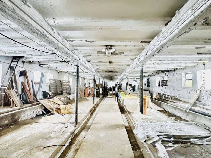 Prodej zemědělské usedlosti 850 m² — Lomnice nad Popelkou, Liberecký kraj