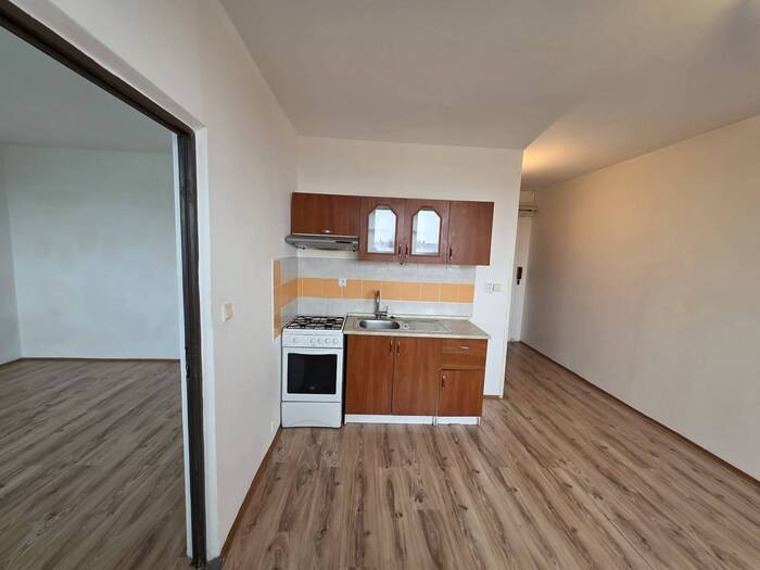 Pronájem bytu 1+1, 35 m² — Kyjická, Chomutov