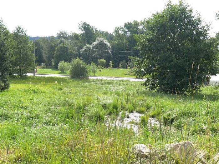Prodej pozemku pro bydlení 2518 m² — Kraj Vysočina, Herálec