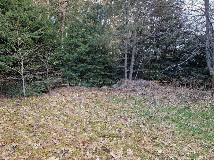 Prodej pozemku pro bydlení 665 m² — Chlum u Třeboně, Jihočeský kraj
