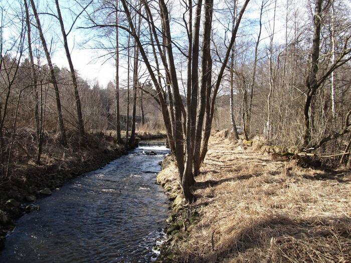 Prodej louky 7754 m² — Kladenské Rovné, Jihočeský kraj