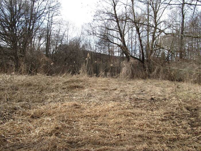 Prodej zahrady 14555 m² — Kladenské Rovné, Jihočeský kraj