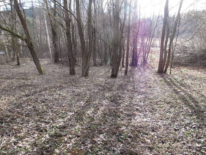 Prodej zahrady 14555 m² — Kladenské Rovné, Jihočeský kraj