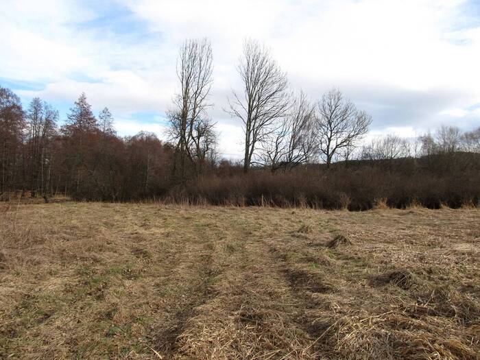 Prodej louky 11151 m² — Kladenské Rovné, Jihočeský kraj