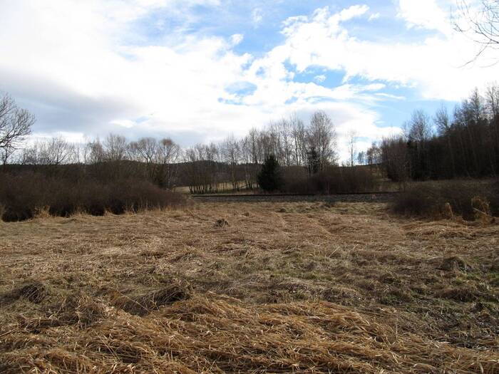 Prodej louky 11151 m² — Kladenské Rovné, Jihočeský kraj