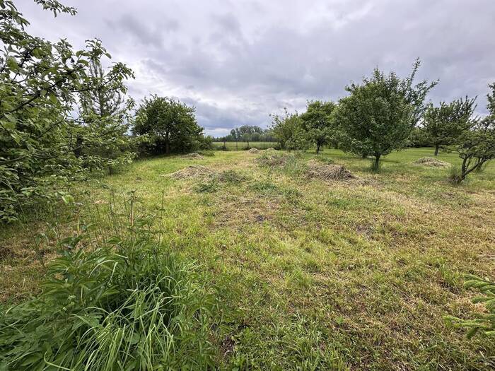 Prodej pozemku pro bydlení 644 m² — Přerov IV-Kozlovice, Olomoucký kraj