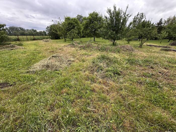 Prodej pozemku pro bydlení 644 m² — Přerov IV-Kozlovice, Olomoucký kraj