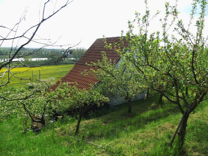 Prodej pozemku 43 m² — Třeboutice, Ústecký kraj