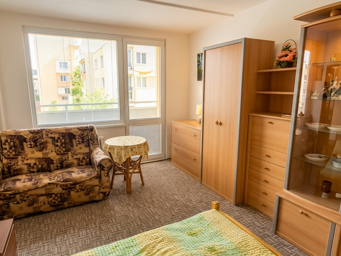 Prodej bytu 1+1, 35 m² — Tábor, Bechyně