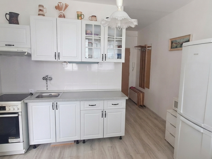 Prodej bytu 1+1, 35 m² — Tábor, Bechyně