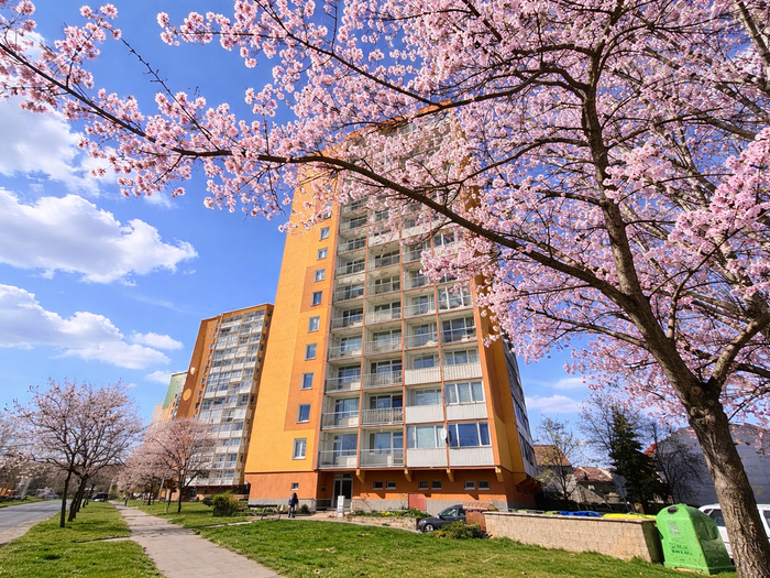Prodej bytu 2+1, 56 m² — Bezručova, Chomutov