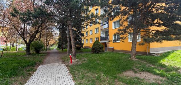 Property Image 1