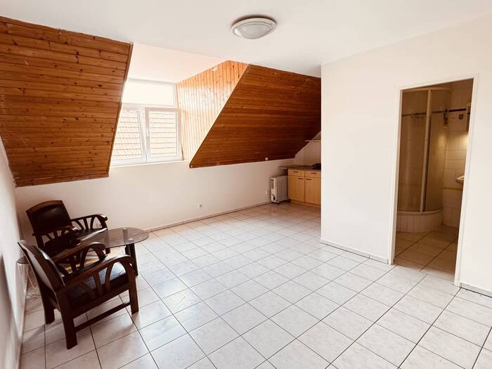 Pronájem bytu 1+kk, 33 m² — 101, České Budějovice