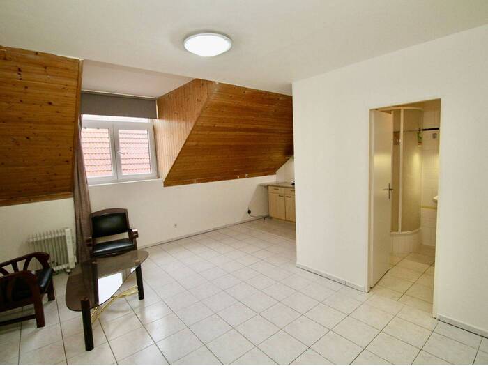 Pronájem bytu 1+kk, 33 m² — 101, 185680