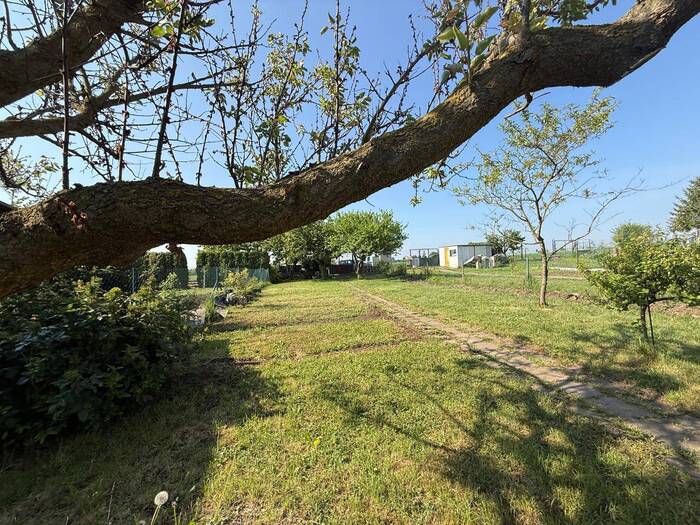 Prodej zahrady 428 m² — Spořice, Ústecký kraj