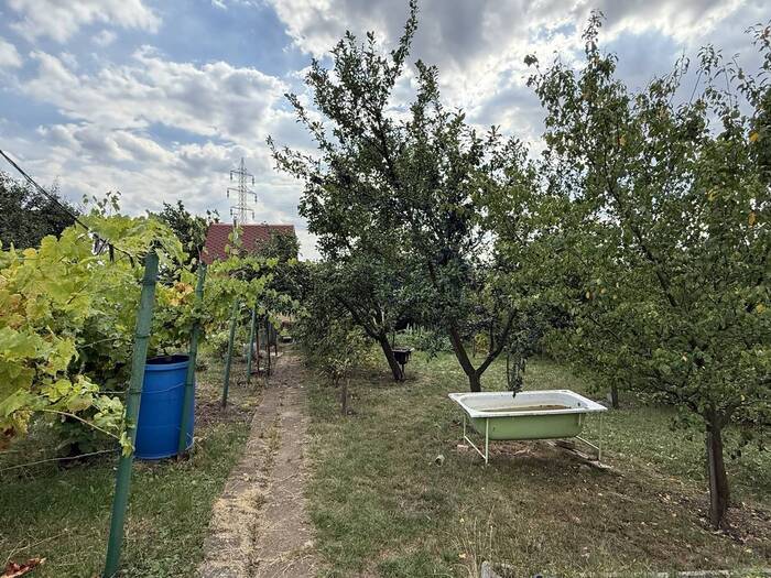 Prodej zahrady 509 m² — Ústecký kraj