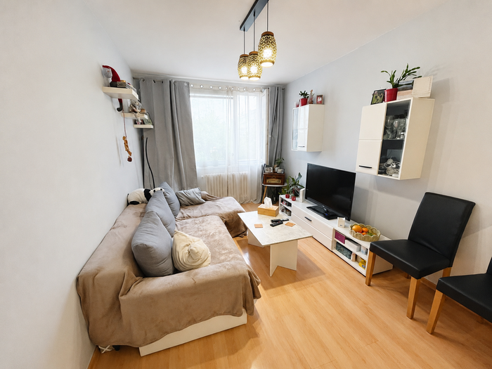 Prodej bytu 2+kk, 40 m² — Elišky Krásnohorské, Litoměřice