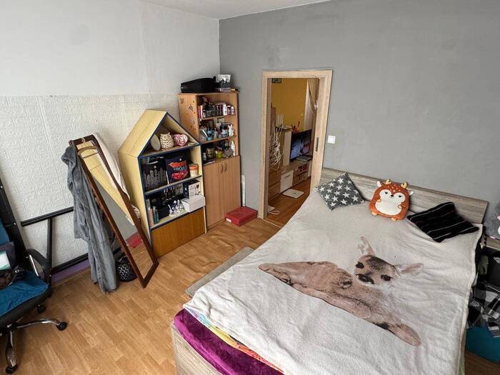 Prodej bytu 3+1, 56 m² — Stínadla, Havlíčkův Brod