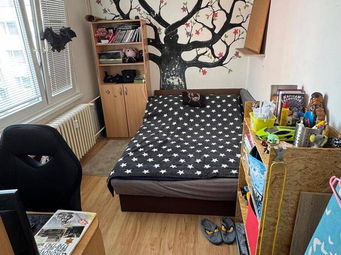 Prodej bytu 3+1, 56 m² — Stínadla, Havlíčkův Brod