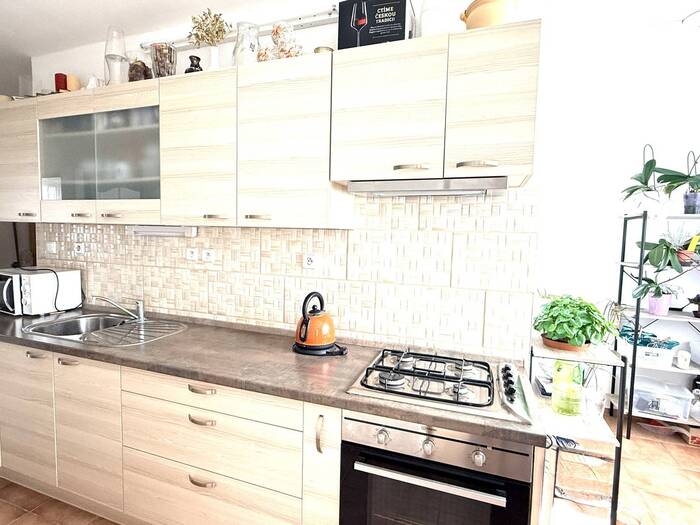 Prodej bytu 2+1, 60 m² — Pionýrů, Chomutov