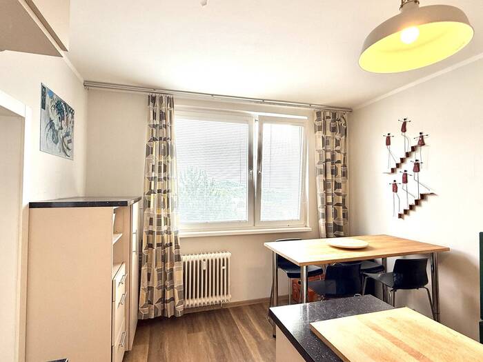 Prodej bytu 1+1, 35 m² — Golovinova, Chomutov