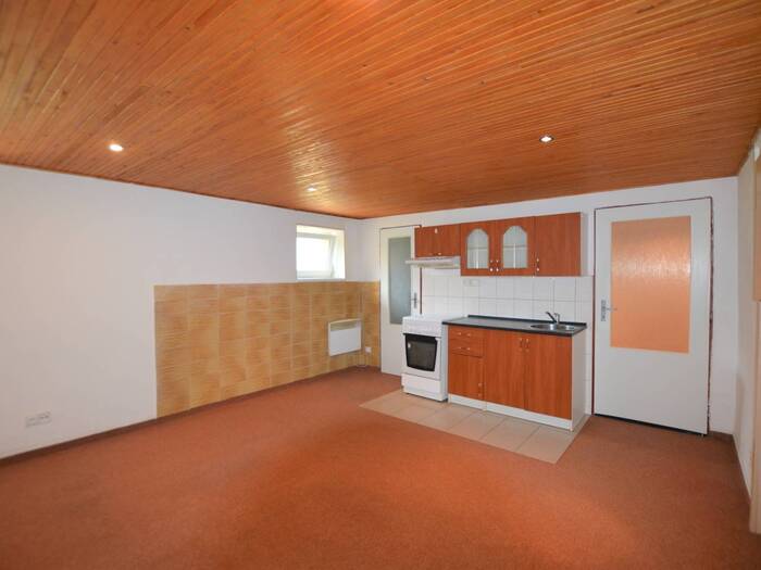 Pronájem bytu 1+1, 40 m² — Karolíny Světlé, Chomutov