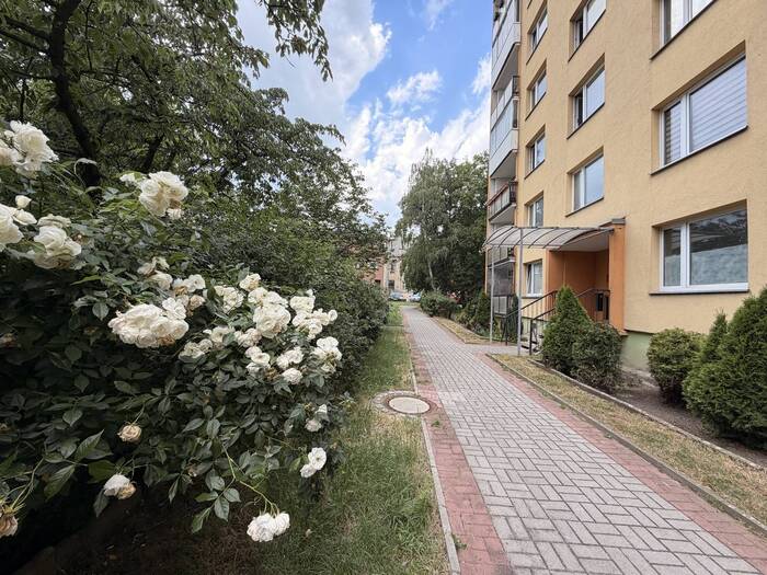 Prodej bytu 1+1, 35 m² — Kostnická, Chomutov