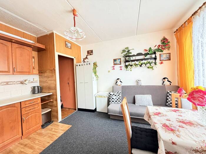 Prodej bytu 1+1, 35 m² — Kostnická, Chomutov