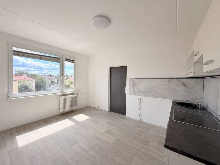 Pronájem bytu 1+1, 36 m² — Palackého, Chomutov