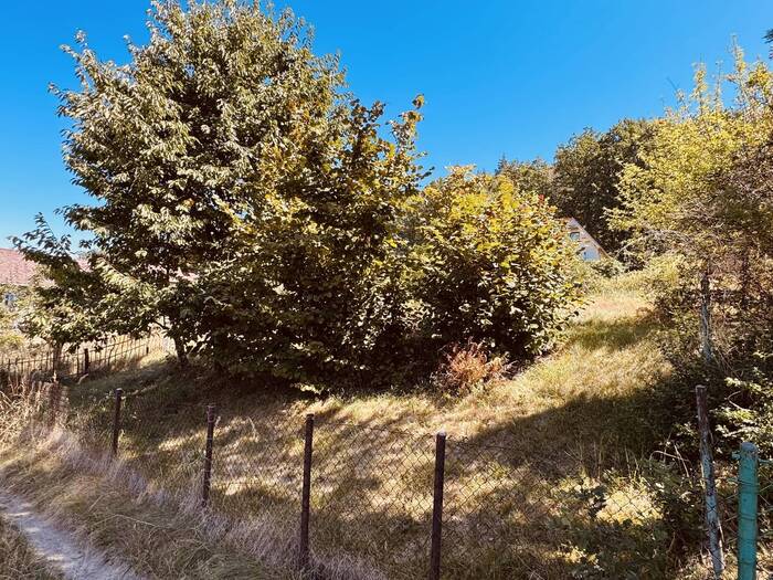 Pronájem zahrady 307 m² — Hlincová Hora, Jihočeský kraj