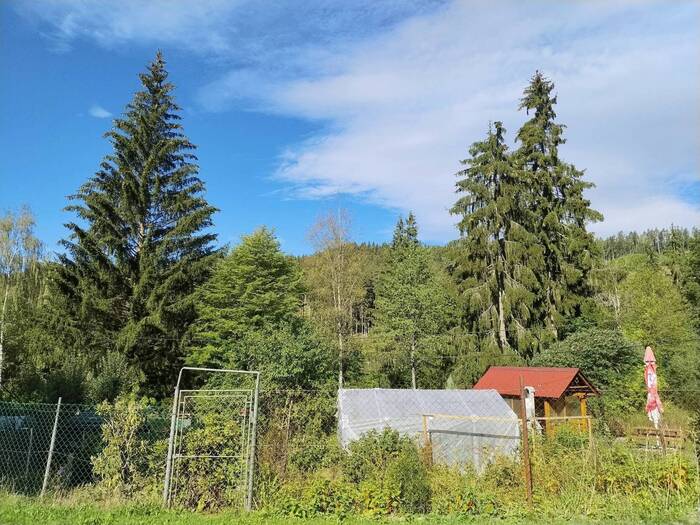 Prodej bytu 1+1, 40 m² — Loučovice, Český Krumlov, Jihočeský kraj