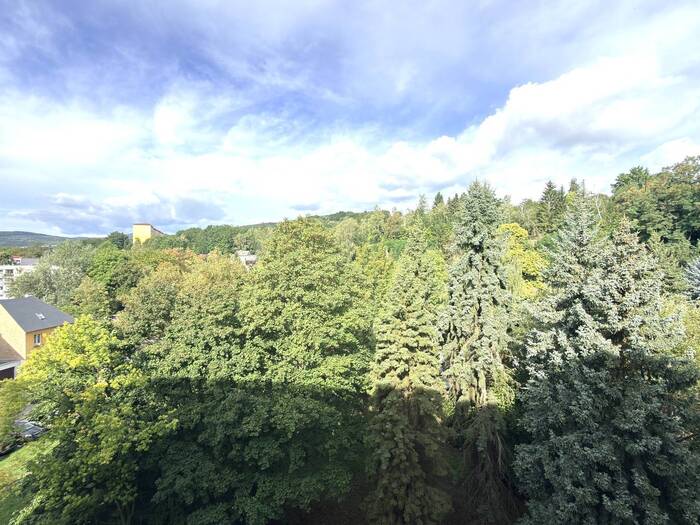 Prodej bytu 2+1, 53 m² — Václavská, Chomutov, Ústecký kraj