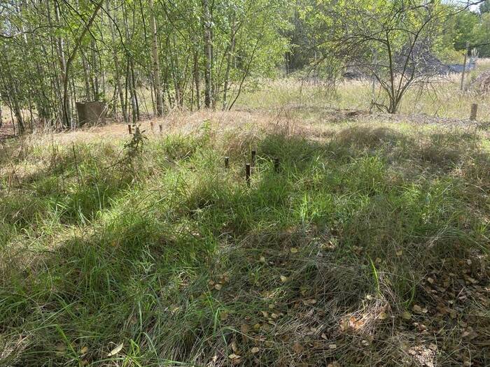 Prodej ostatní nemovitosti 135 m² — Klášterec nad Ohří, Ústecký kraj